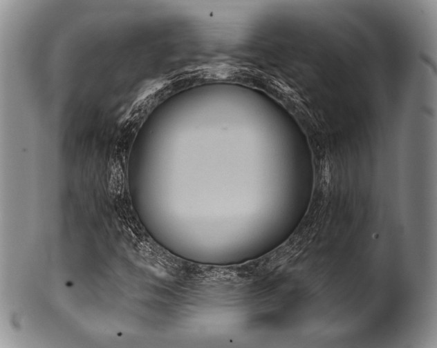 X0000101111446200806261401
