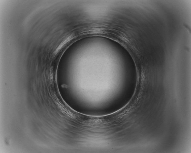X0000101111450200806261401