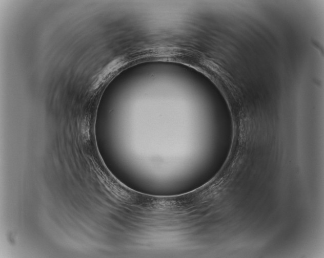 X0000101111451200806261401