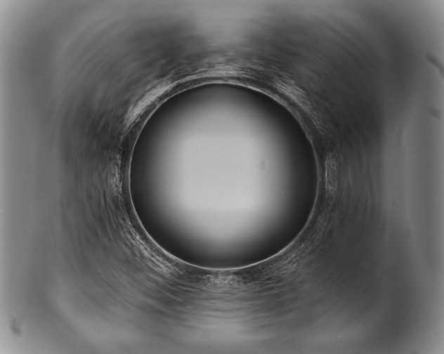 X0000101111452200806261401