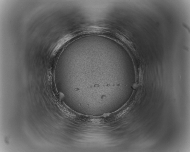 X0000101111453200806261401