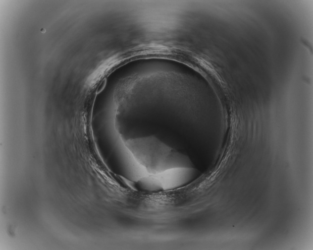 X0000101111455200806261401