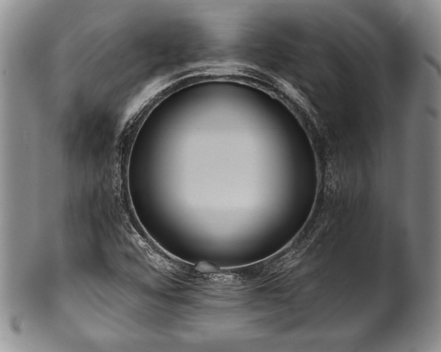 X0000101111456200806261401