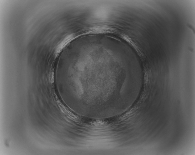 X0000101111459200806261401