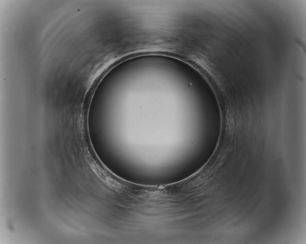 X0000101111460200806261401
