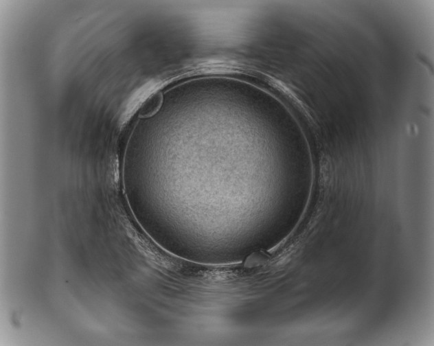 X0000101111461200806261401