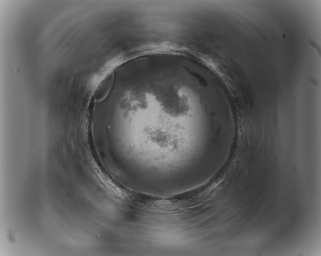 X0000101111463200806261401