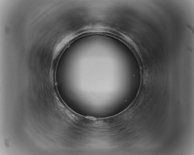 X0000101111464200806261401
