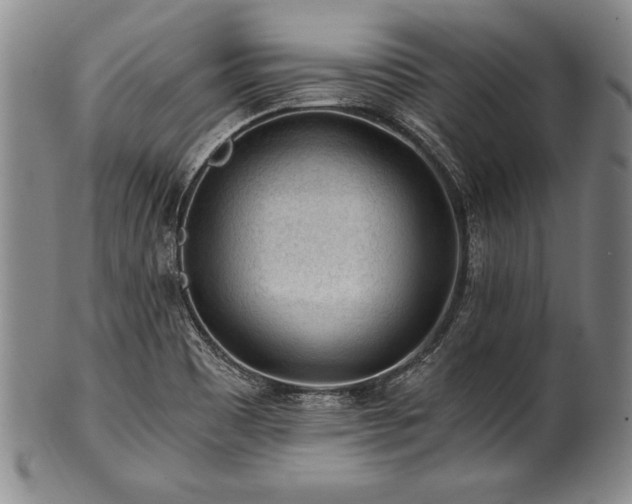 X0000101111465200806261401