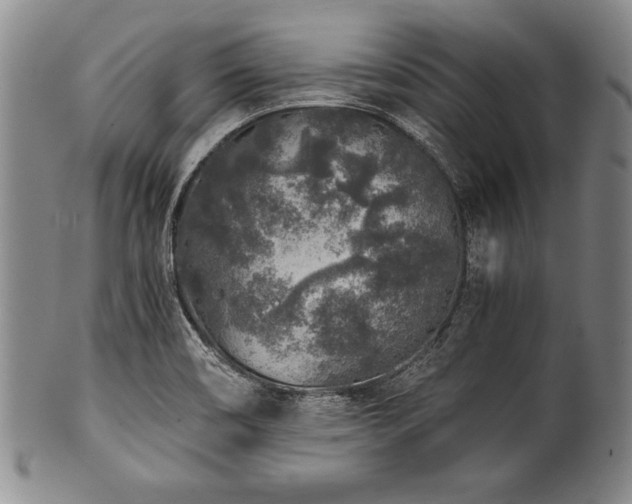 X0000101111466200806261401