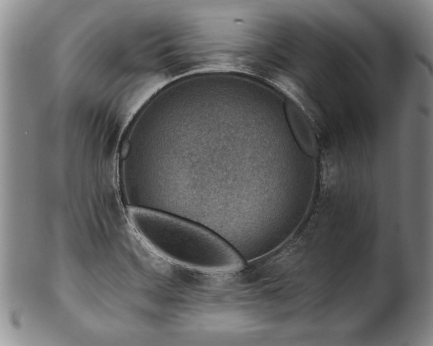 X0000101111468200806261401