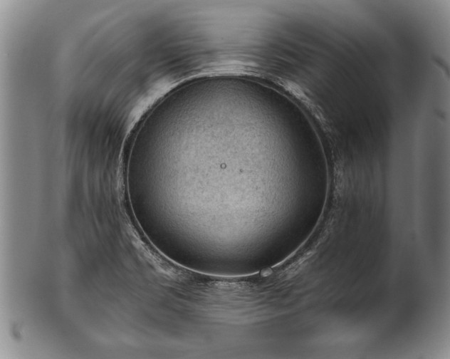 X0000101111469200806261401