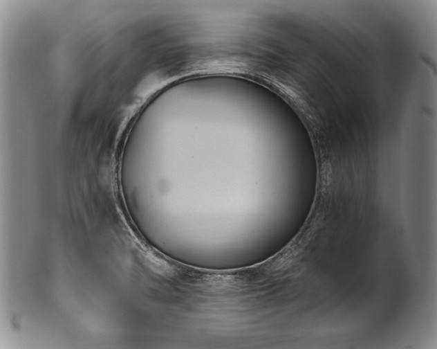X0000101111470200806261401