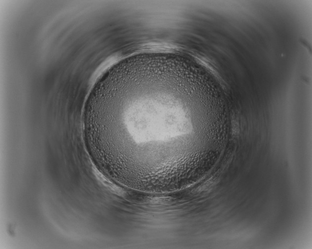 X0000101111471200806261401