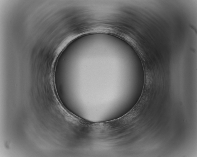 X0000101111478200806261400
