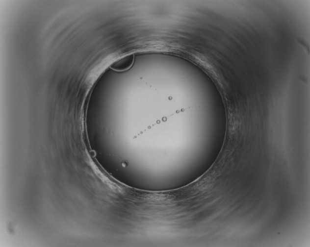 X0000101111479200806261400