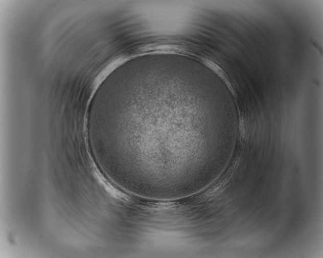 X0000101111482200806261400