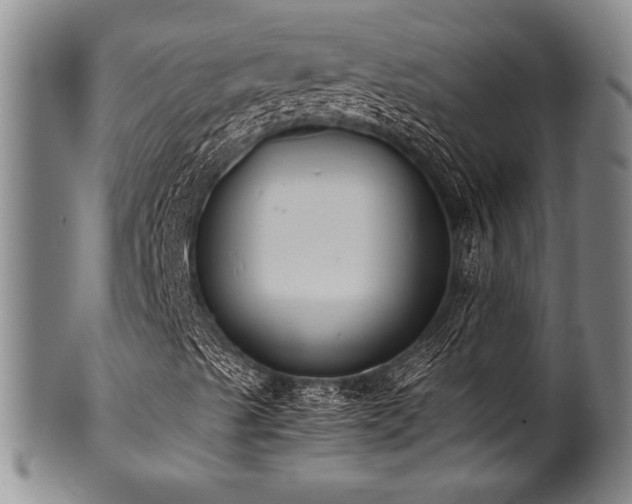 X0000101111489200806261400