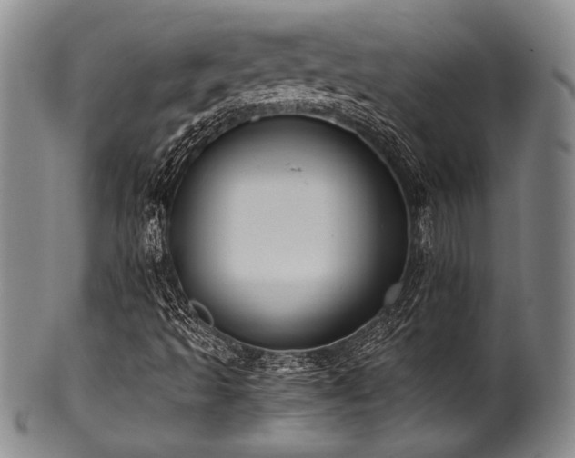 X0000101111493200806261400