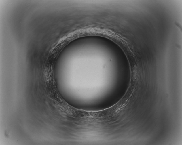 X0000101111494200806261400