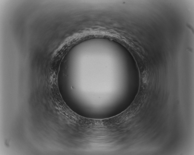 X0000101111495200806261400