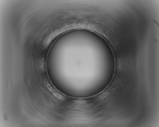 X0000101111499200806261400