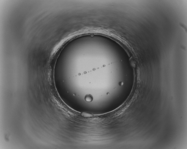 X0000101111502200806261400