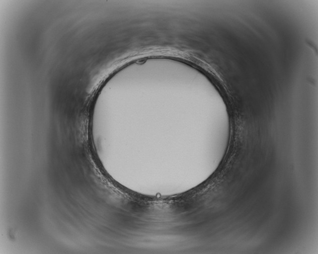 X0000101111504200806261400