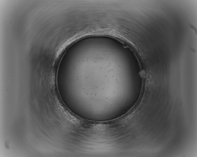 X0000101111506200806261400