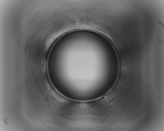 X0000101111507200806261400