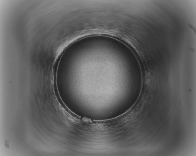 X0000101111508200806261400