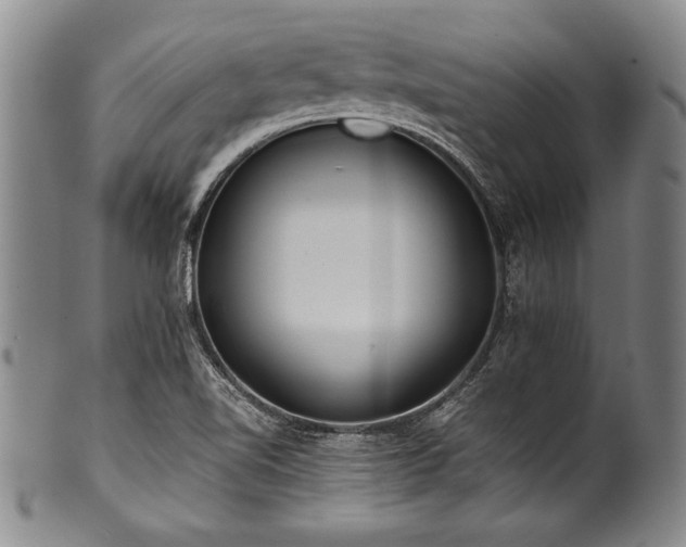 X0000101111510200806261400