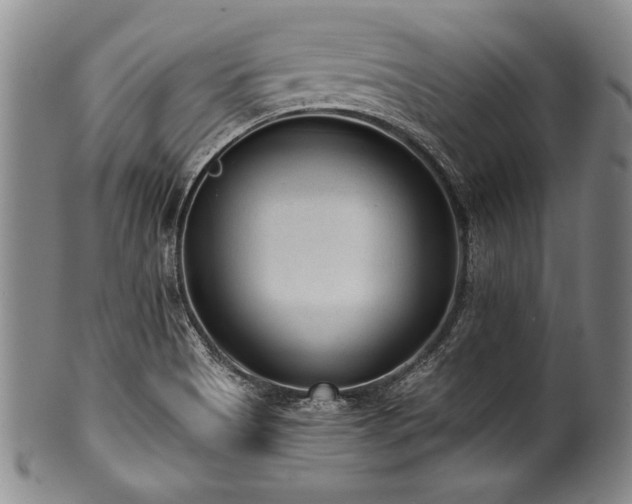 X0000101111513200806261400