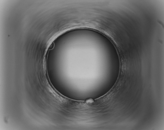 X0000101111516200806261400