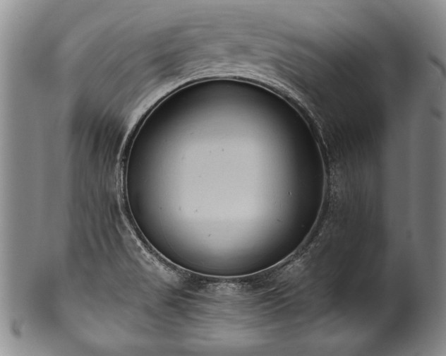 X0000101111517200806261400