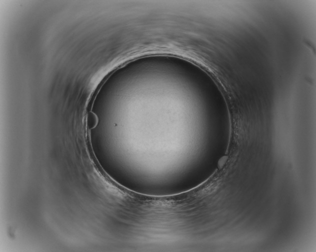 X0000101111519200806261400