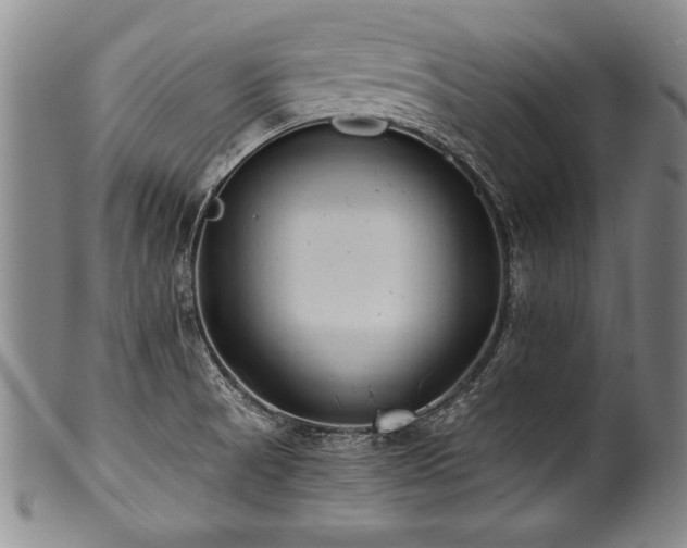 X0000101111521200806261400