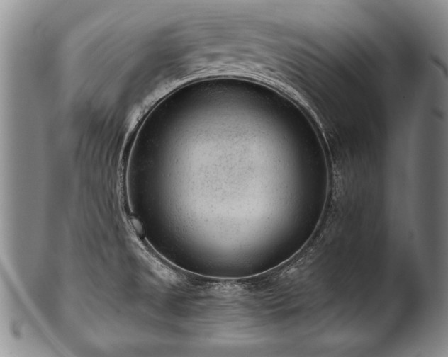 X0000101111525200806261400