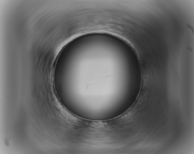X0000101111526200806261400
