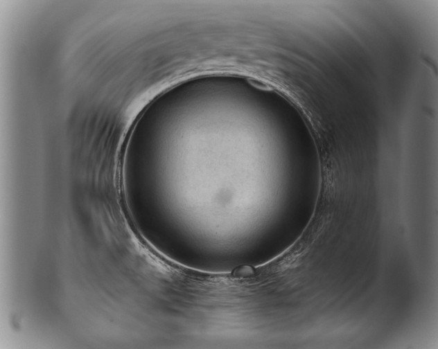 X0000101111527200806261400