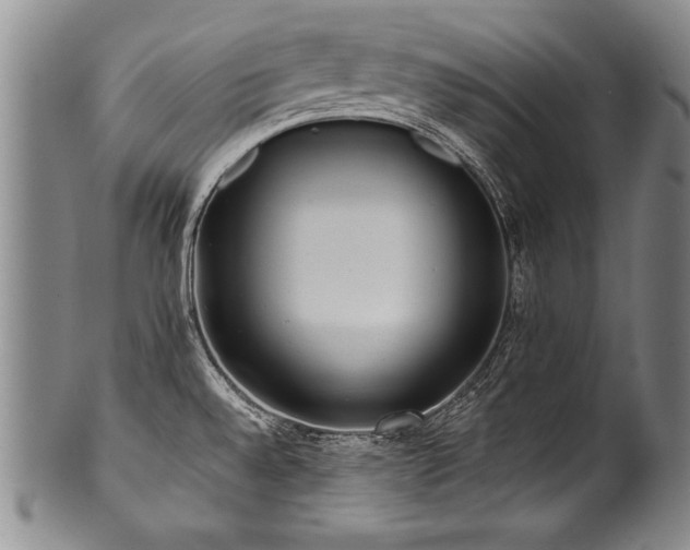 X0000101111528200806261400