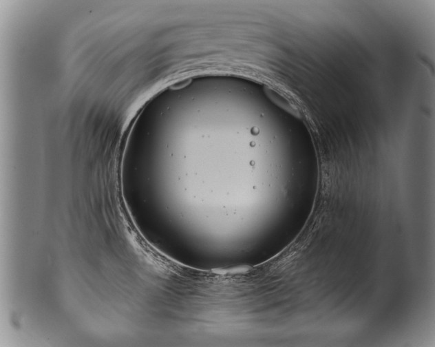 X0000101111530200806261400