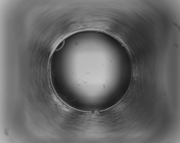 X0000101111532200806261400