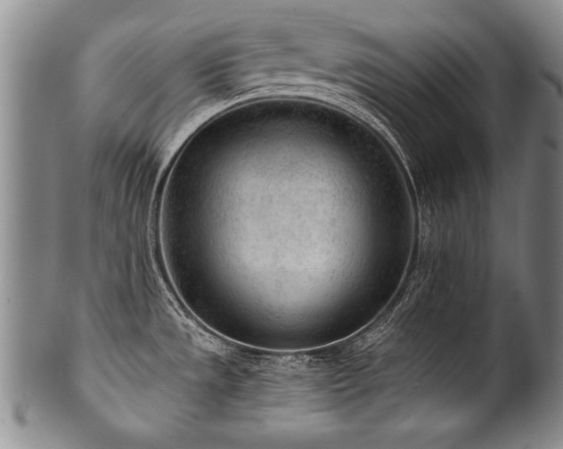 X0000101111533200806261400