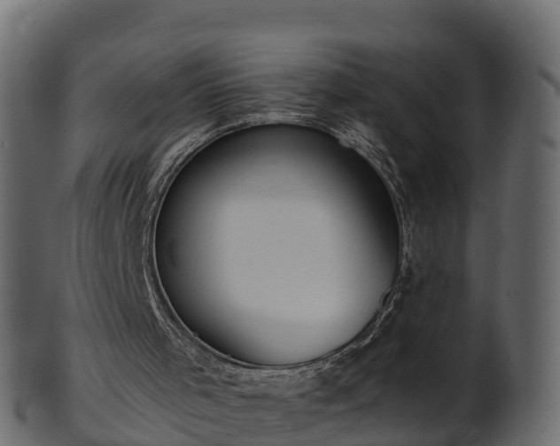 X0000101110001200807031751
