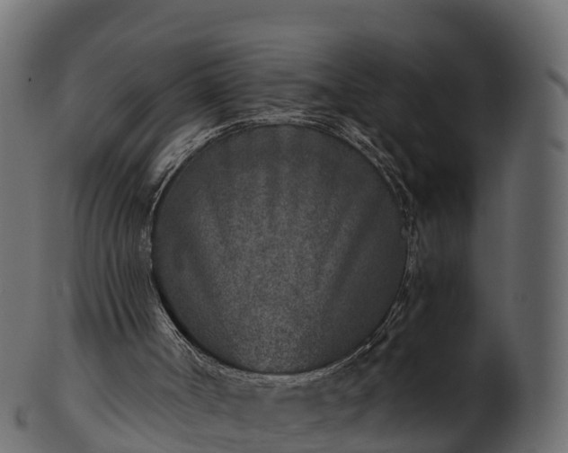 X0000101110002200807031751