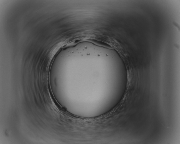 X0000101110003200807031751