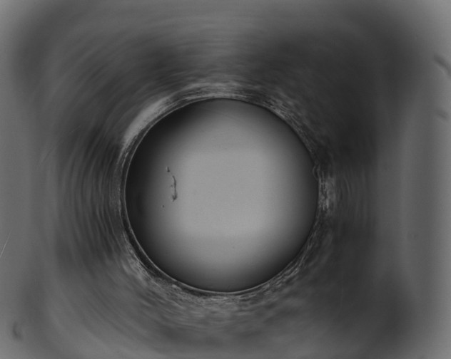 X0000101110004200807031751