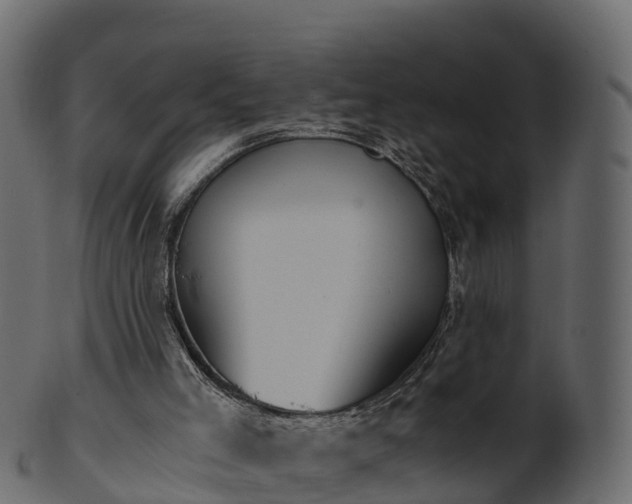 X0000101110005200807031751