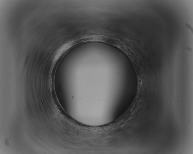 X0000101110006200807031751